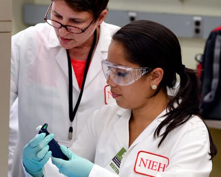 nih_summer_internship_image